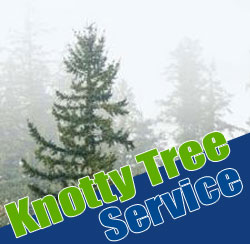 Tree_Service_Puyallup